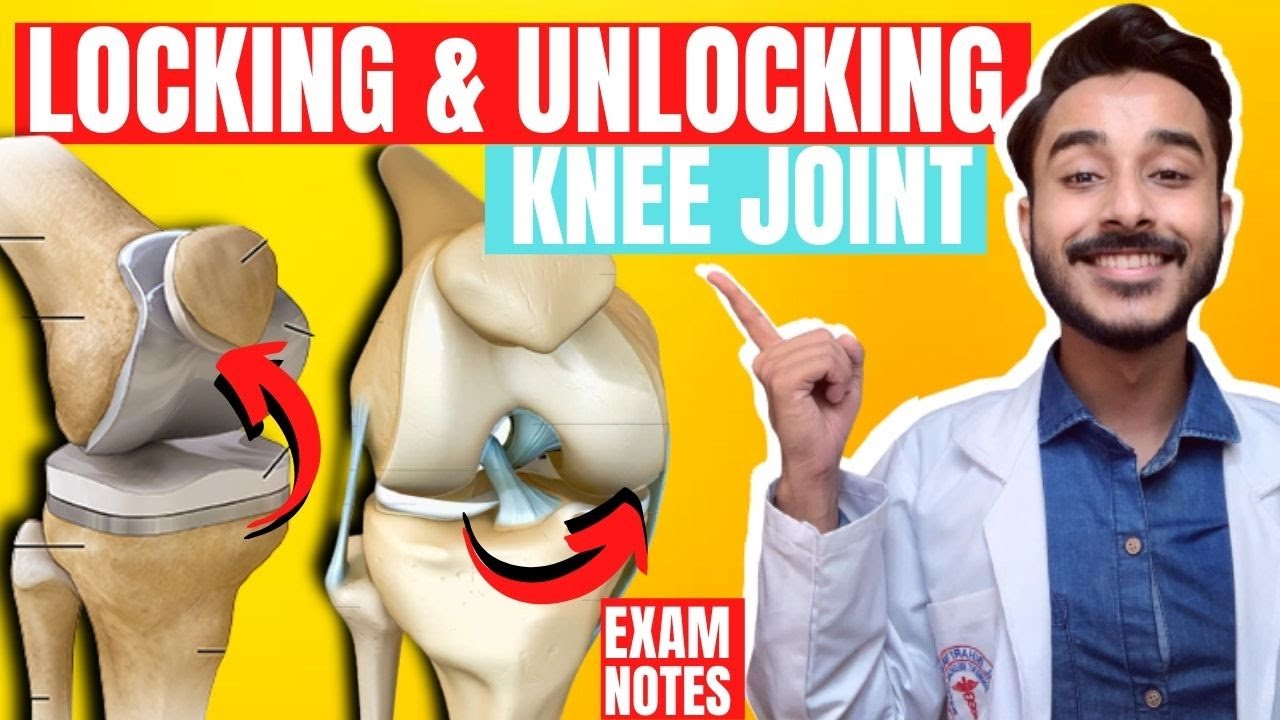 locking and unlocking of knee joint mechanism | locking and unlocking of knee joint anatomy