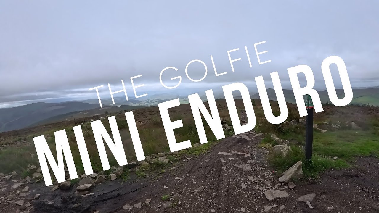 GOLFIE MINI ENDURO - Repeat Offender, Wolf of Wall Street, Trevor & Community Service-Final Fling
