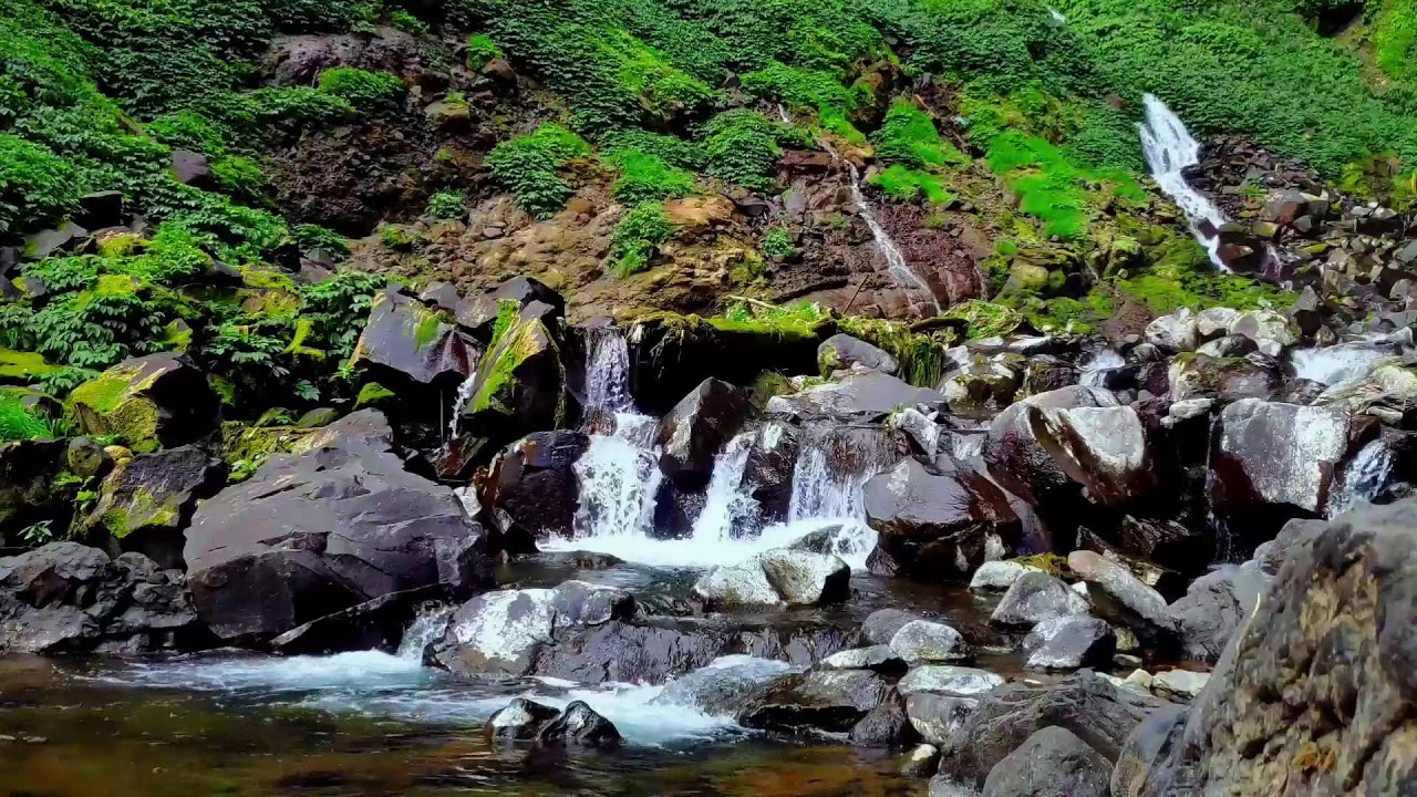 Relaxing River Flow Sound for Emotional Recovery and Mental Disorder Relief