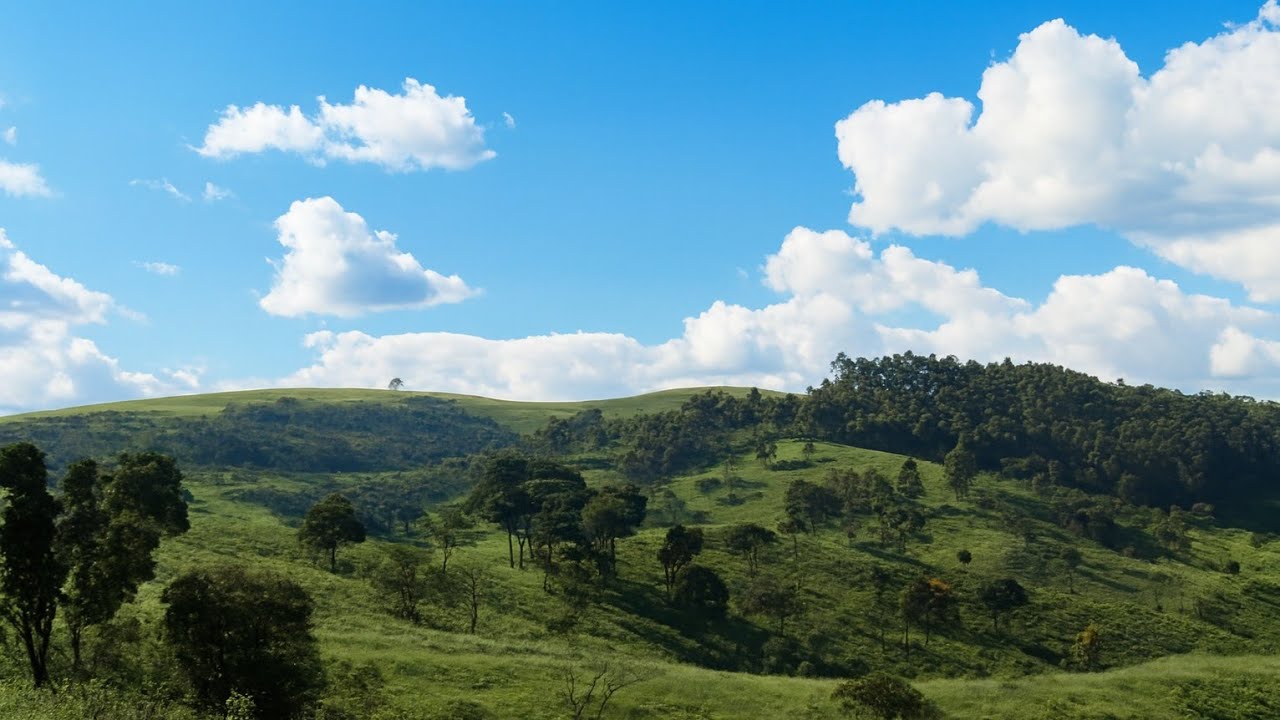 A Fazenda de R$ 45 Milhões em Minas Gerais: Pecuária, Café e Turismo em Furnas
