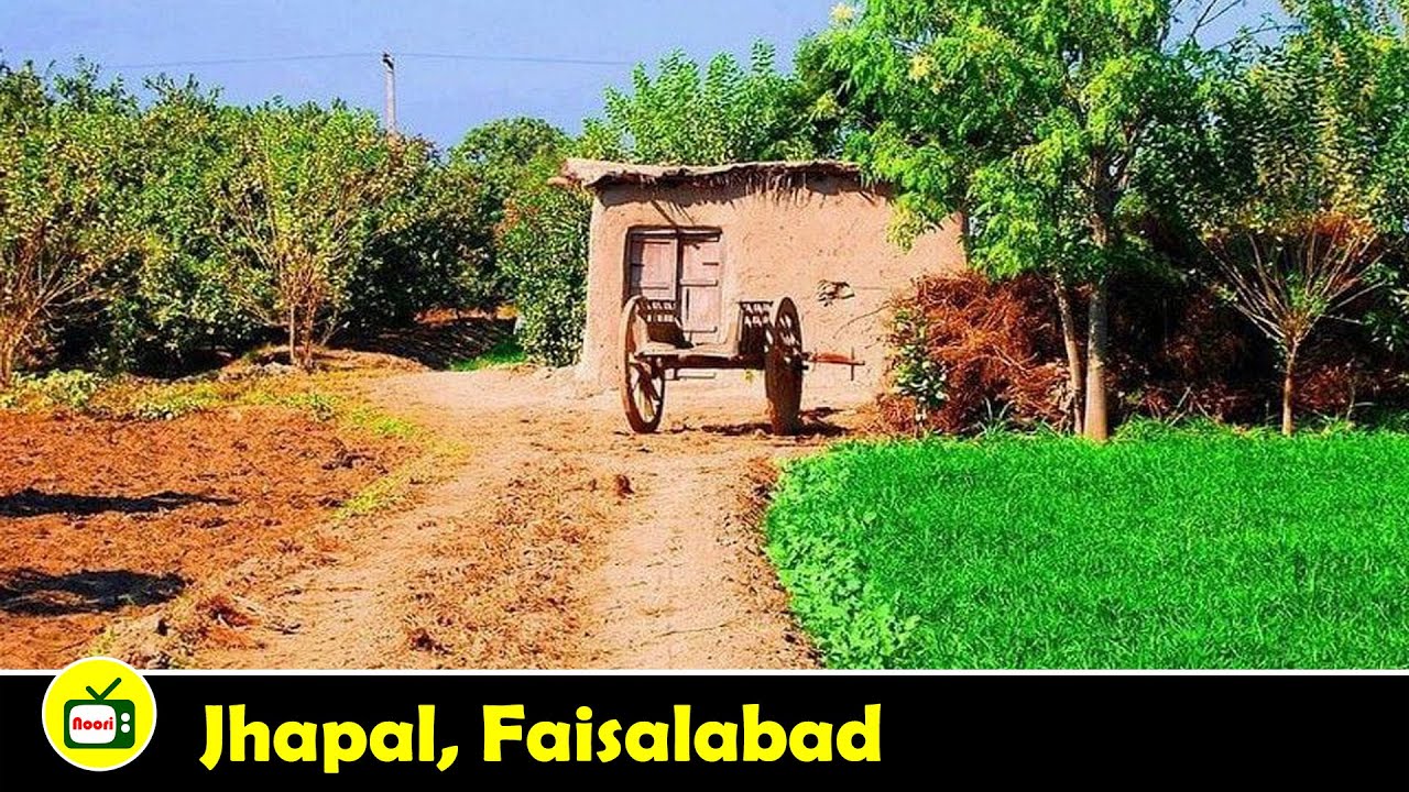 Village Life || Chak 73 JB Jhapal || A Beautiful Village of Faisalabad, Punjab, Pakistan || Noori TV