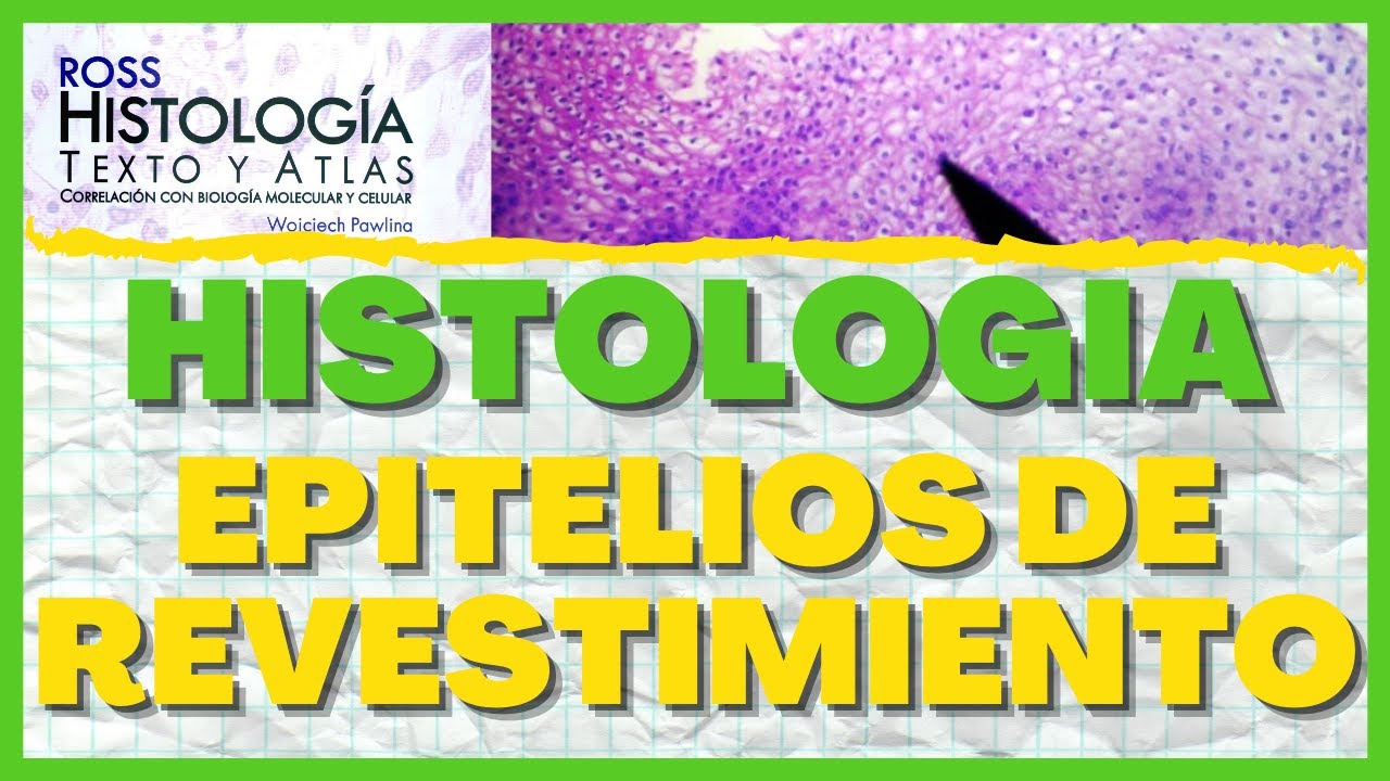 Histologia del Tejido Epitelial (RESUMEN)/ Epitelios de Revestimiento