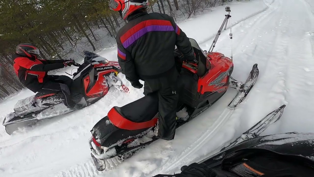 Video 260533V  CF8Kid       10231