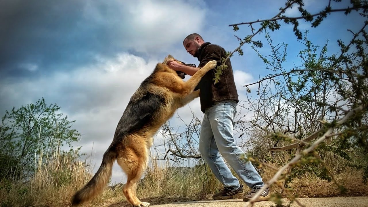 Mi vida con Animales en una Finca Rural