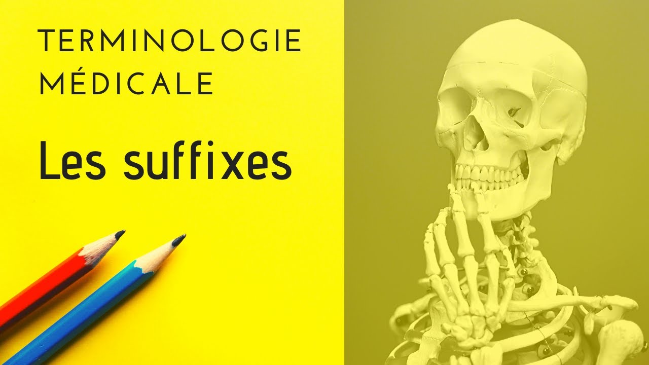 APPRENDRE LES SUFFIXES EN MOINS DE 5 MINUTES