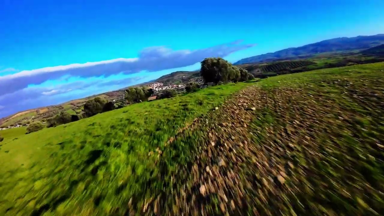 Verde Infinito 🌿 La mia prima uscita con DJI Avata 2-  #FPV #CinematicFPV #djiglobal#djiavata2 