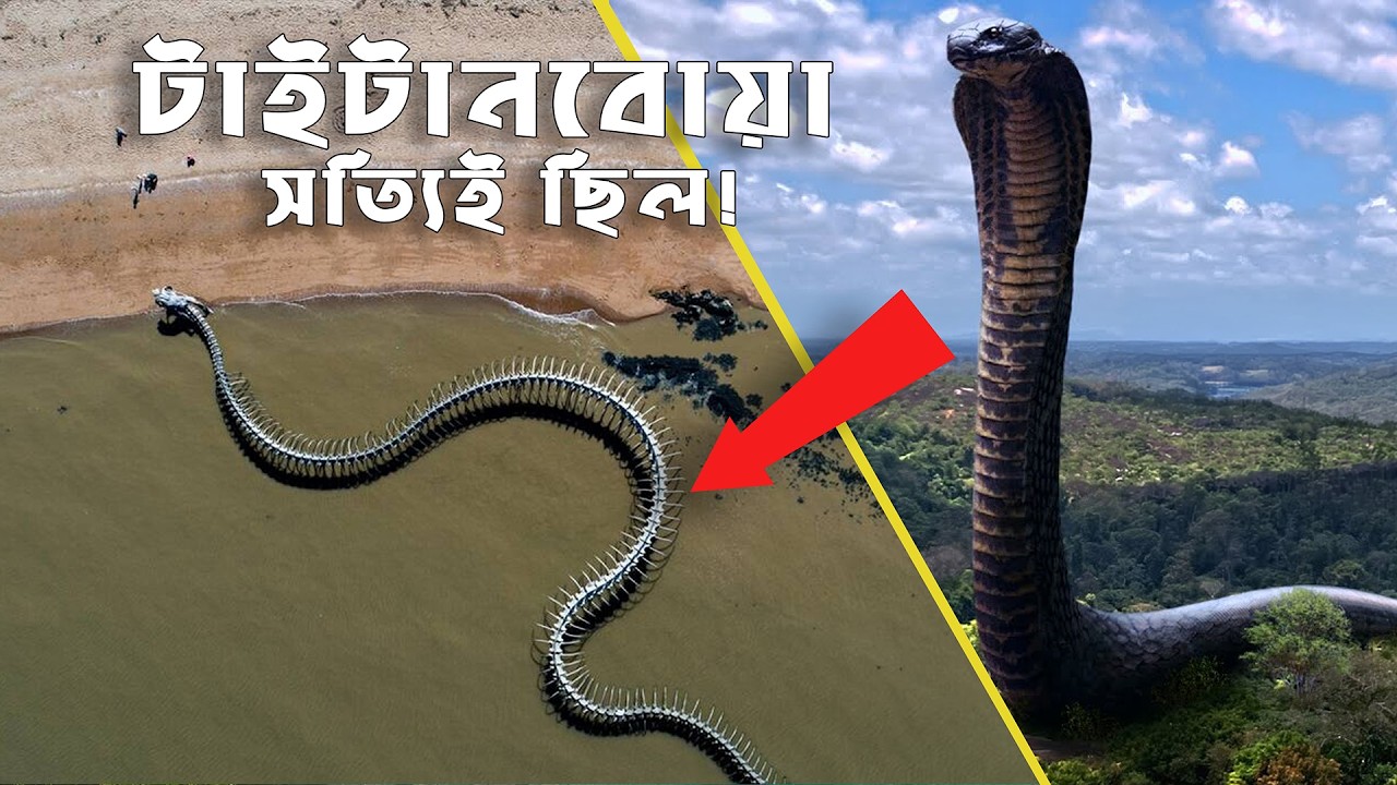 টাইটানোবোয়া সম্পর্কে কিছুই স্বাভাবিক ছিল না...  কি হত যদি এটি বিলুপ্তই না হত? | ADVUT 10