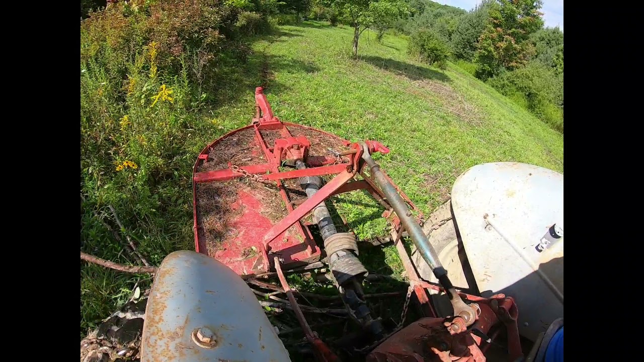 Brush hogging with the Ford 8n and dropping trees