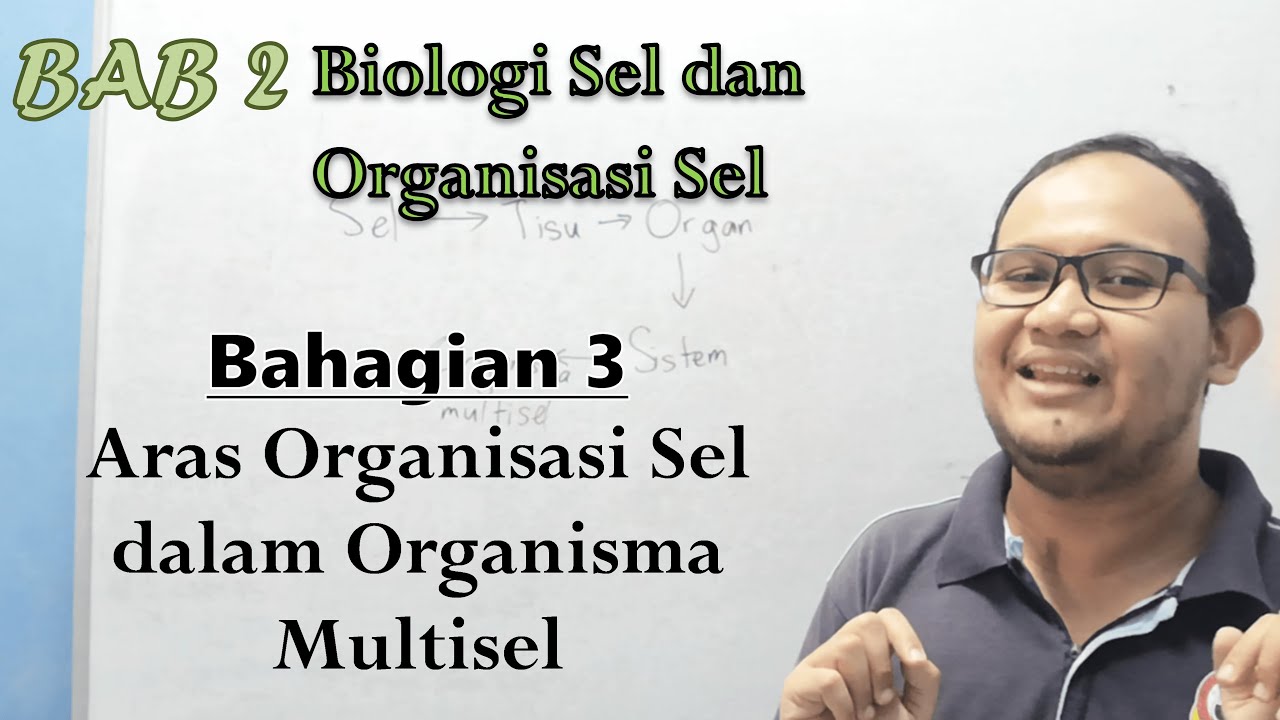KSSM Bio Ting. 4  - Bab 2 - Biologi Sel (Part 3: Aras Organisasi Sel dalam Organisma Multisel)