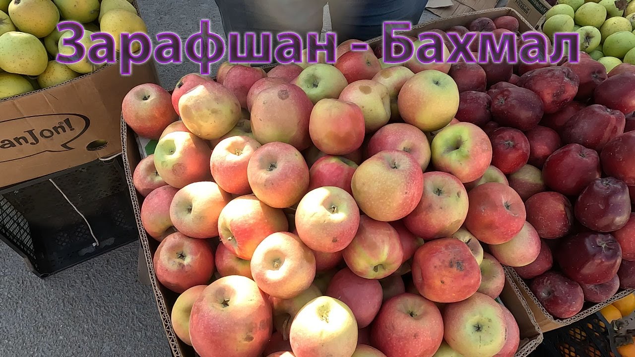 01 11 2024г  как мы живём в Зарафшане #городдетства #ностальгия #зарафшан