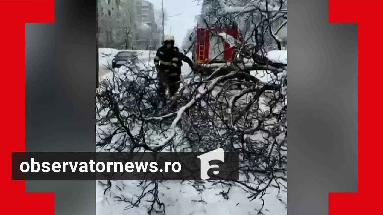 Bucureștiul, sub cel mai greu episod de iarnă din ultimii 18 ani: 