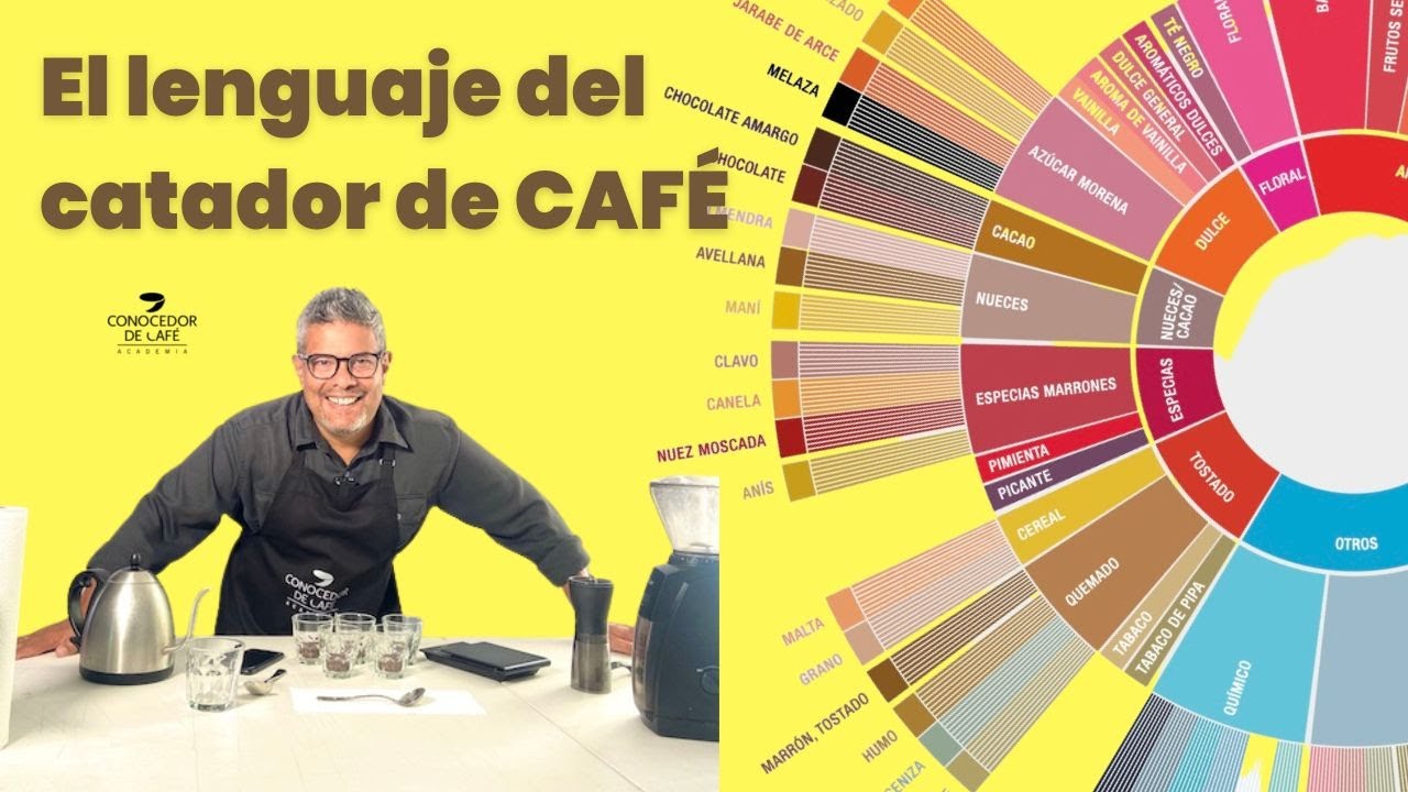 ¿Es importante manejar la herramienta de la Rueda de Sabores del café? | Mi opinión
