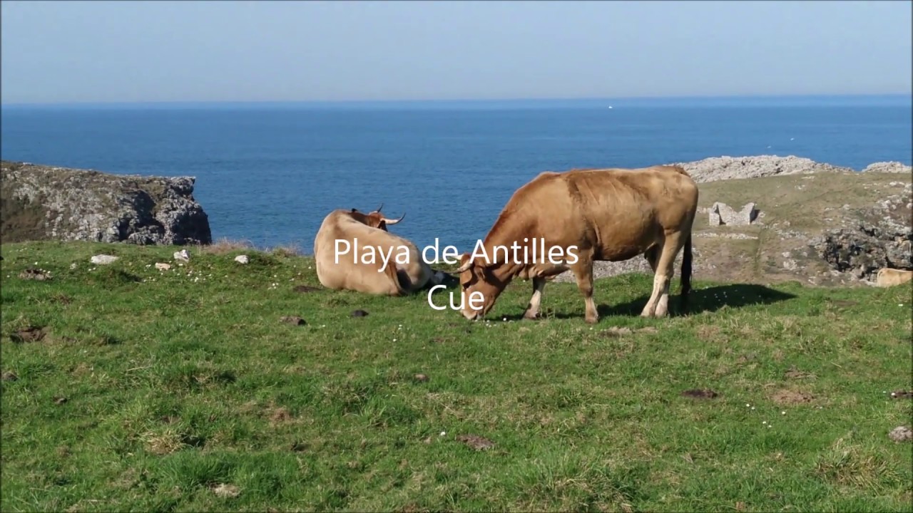 La Playa de Antilles en Cue, aguas cristalinas, ideale para ir con ni&ntilde;os y dsifrutar del snorkel