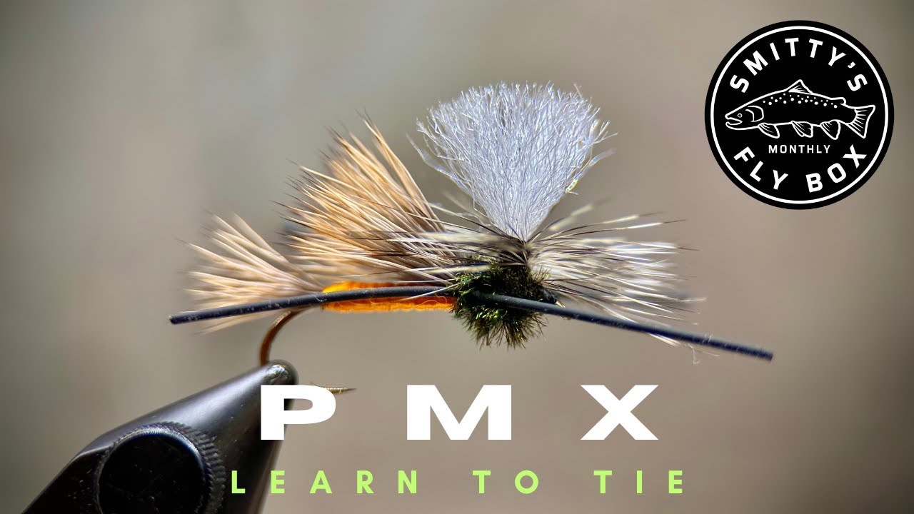 PMX