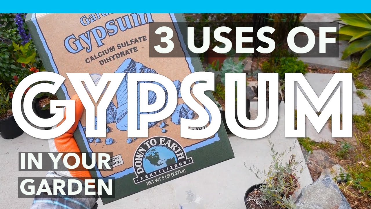 (3) Uses & Benefits of adding GYPSUM to your Garden soil.