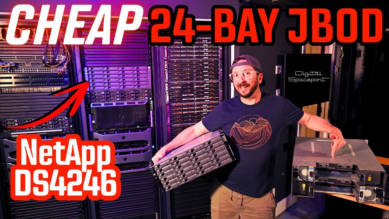 Cheap Homelab Storage Server Disk Shelf JBOD NetApp DS4246