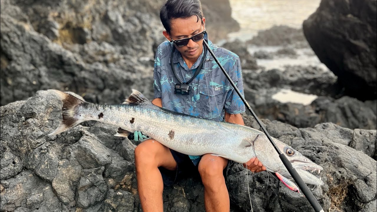 11KG monster barracuda vs zenaq sonio 100m daiwa certate 6000H 