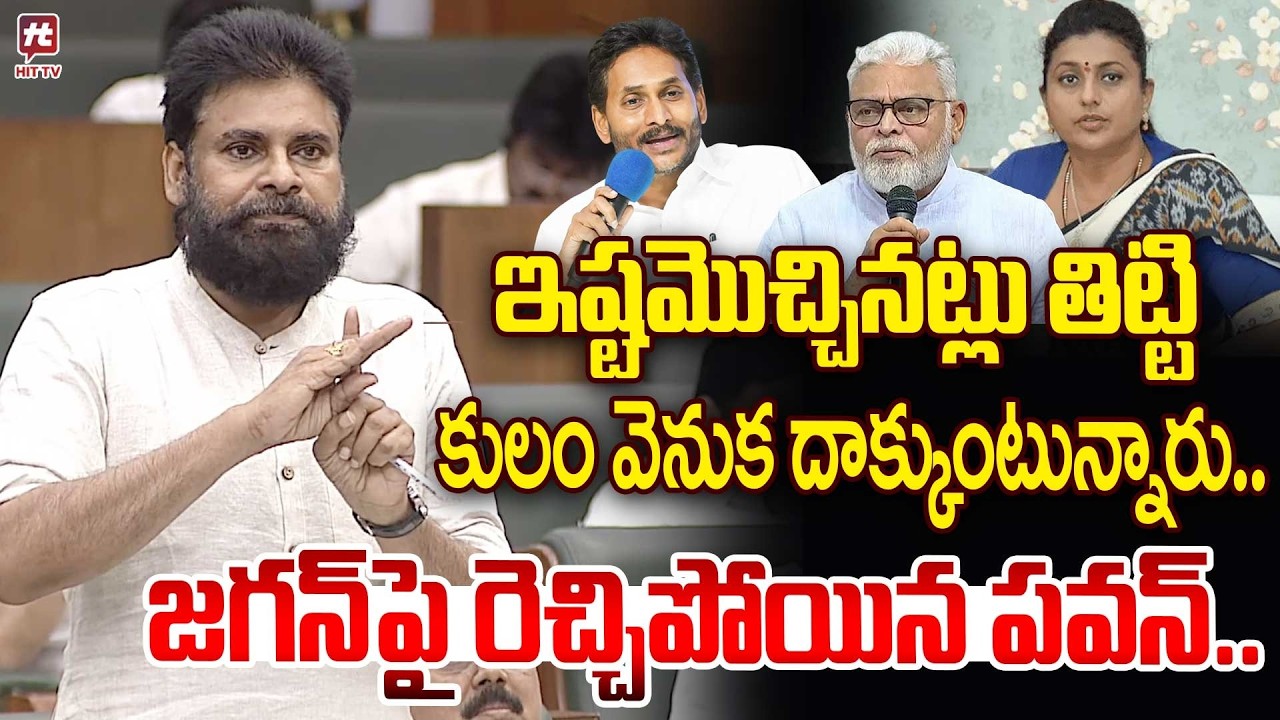 Deputy CM Pawan Kalyan Powerful Speech on Jagan and Ycp Leaders In Assembly @hittvmix