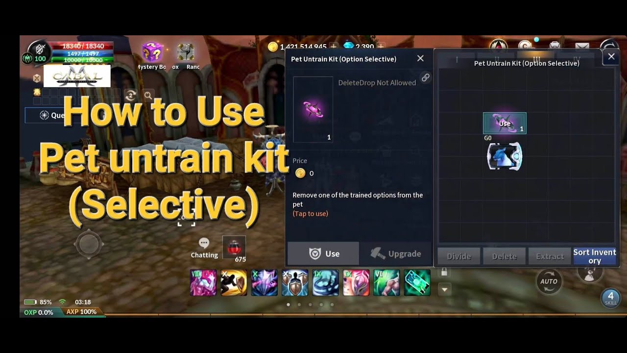 Cabal Mobile - How to use Pet untrain kit (Selective) 