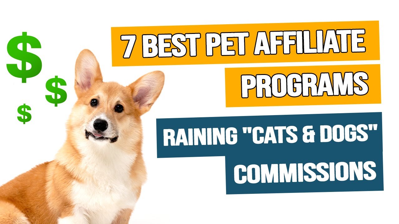 7 BEST Pet Affiliate Programs Raining 