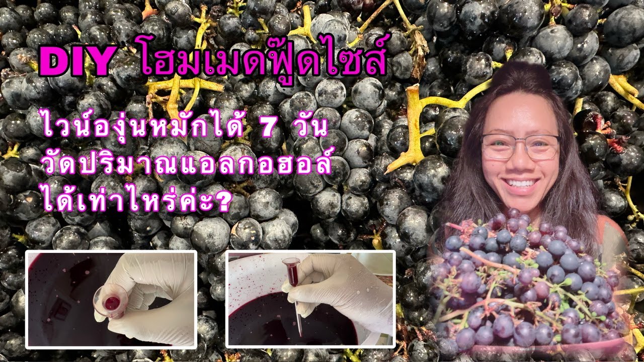 ทดลองทำไวน์แดงหมักได้ 7 วัน ค่าแอลกอฮอล์เท่าไหร่? หลอดวัดค่าแอลกอฮอล์โบราณ ทำไวน์บ้านๆ โฮมเมด