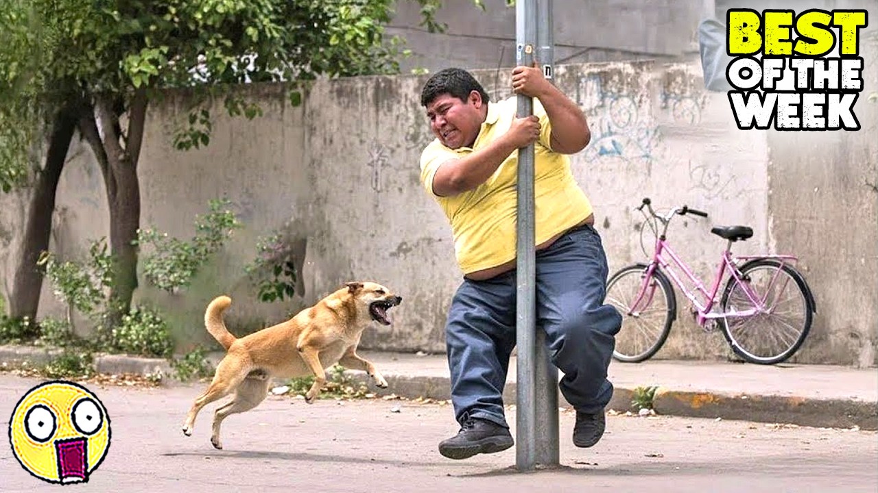 TRY NOT TO LAUGH #01| 😂Best Fails of The Week | Instant Regret Fails Compilation 2026