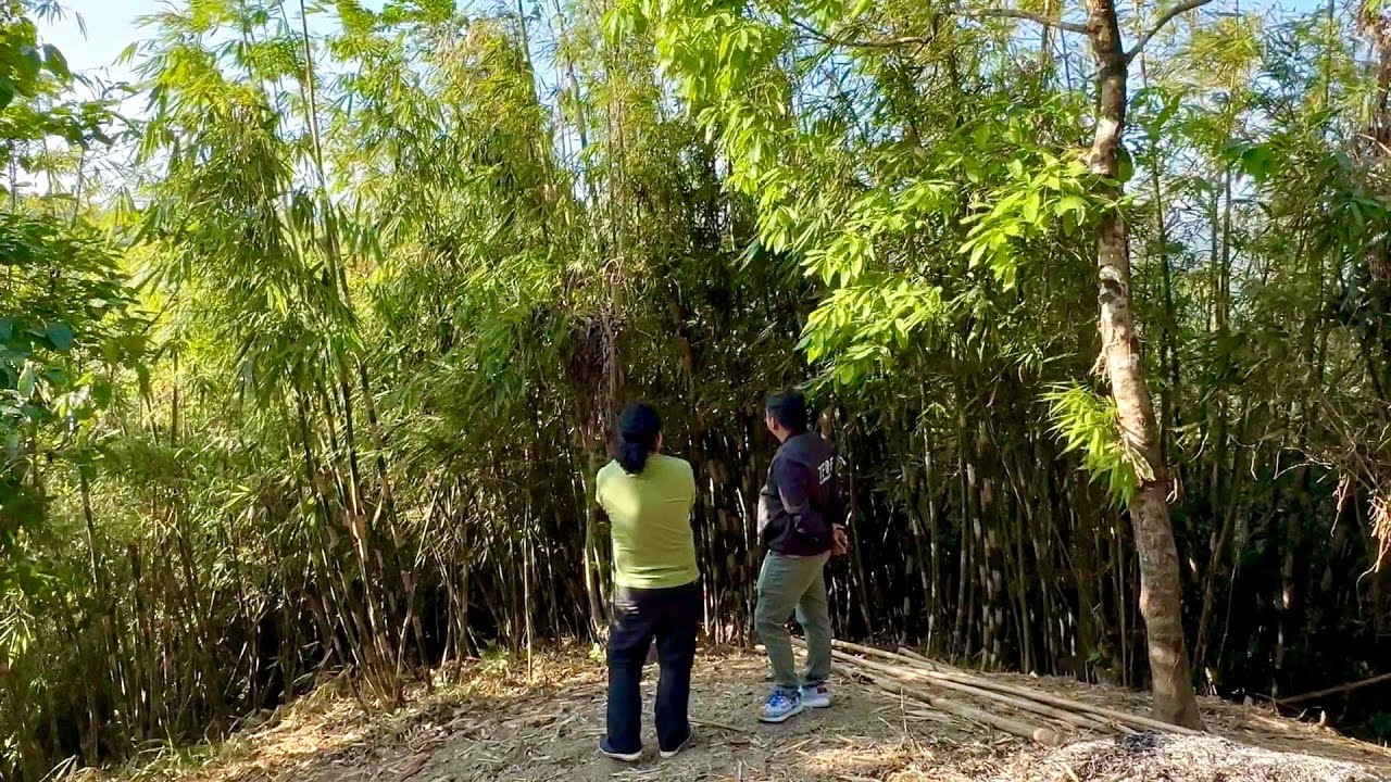 Farm Update: Temporary wire fencing + May bisita ulit sa farm