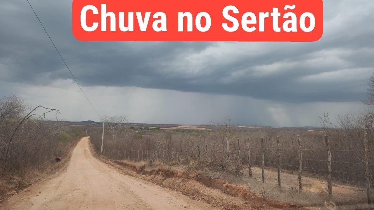⛈️🌵CHUVA NO SERTÃO NORDESTINO! Terras secas sendo Molhadas🙌