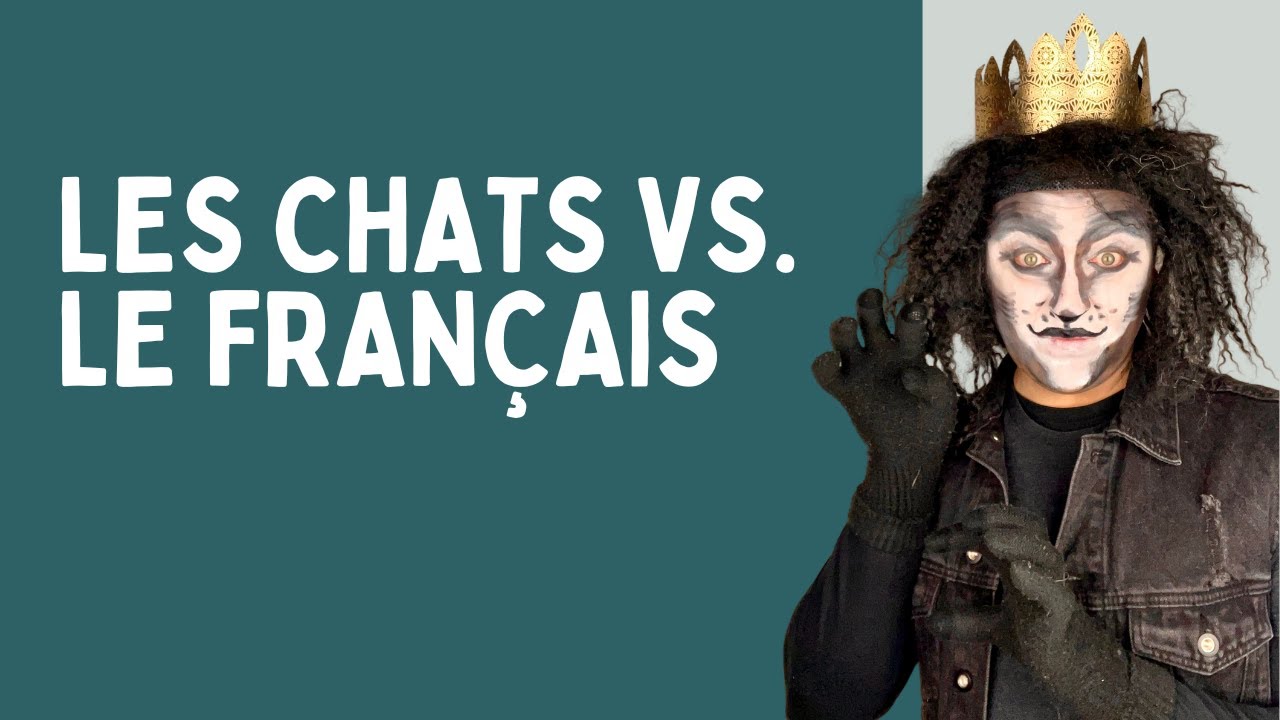 😼 LES CHATS DANS LES EXPRESSIONS 🐈‍⬛ ❤️ - Learn French better than Emily - #parolerie