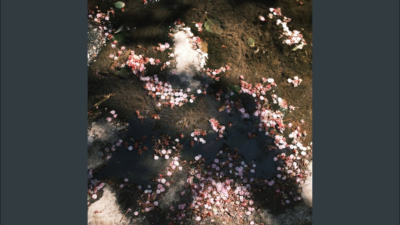 HanaMushiro