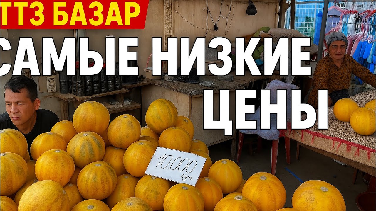 Ташкентский Базар Сравниваем ТТЗ Цены