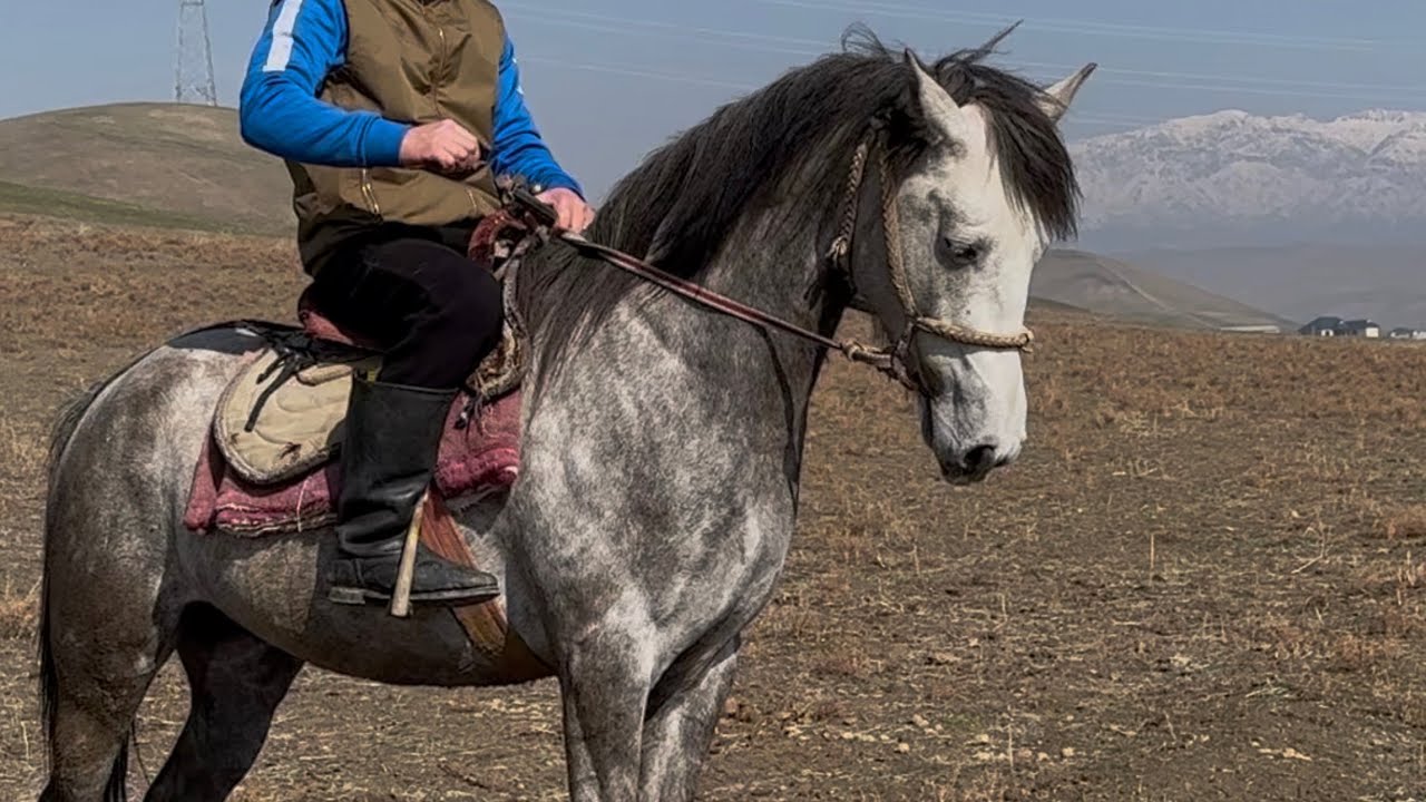 Космос  +996-755-91-39-49. 18 февраля 2026 г.