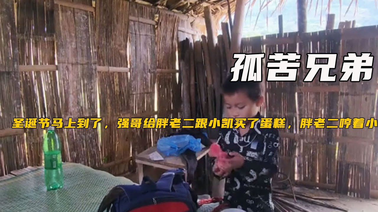 聖誕節馬上到了，強哥給胖老二跟小凱買了蛋糕，胖老二哼著小曲很是幸福《孤苦兄弟236-240》