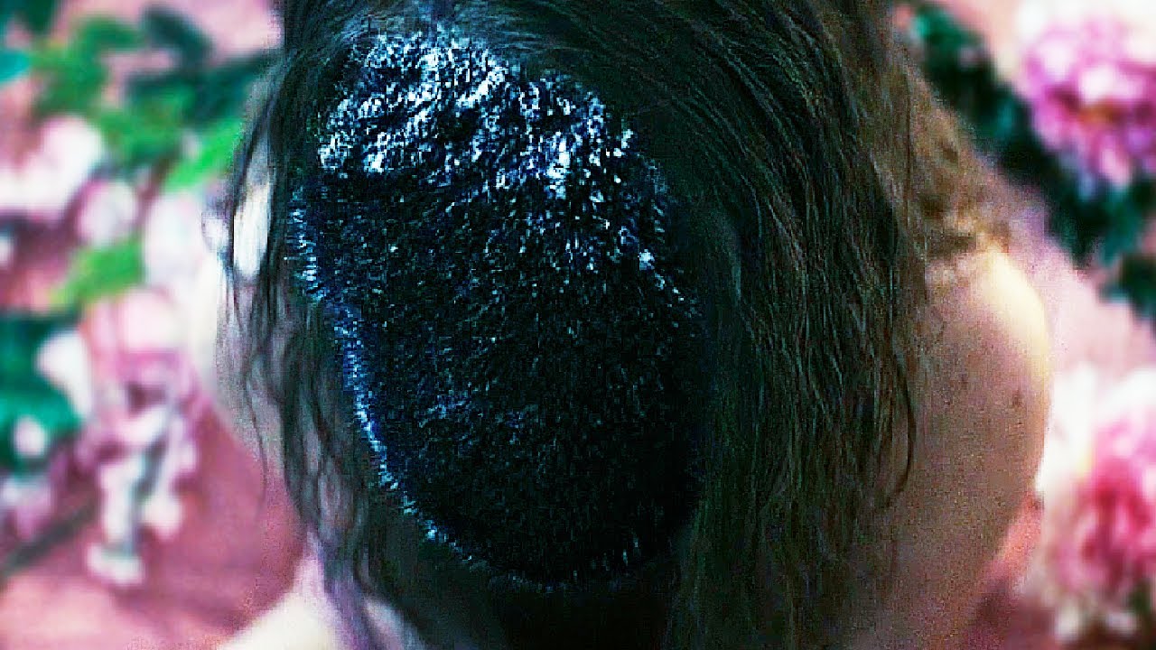 На Земле появляются порталы, войдя в которые, человек полностью меняется