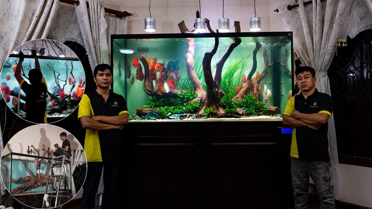 24 giờ Lật hồ & Setup Layout HẢI SƠN TÙNG NGUYÊN KHỐI CHƠI CÁ ĐĨA tại Vũng Tàu | Jarvis Tank