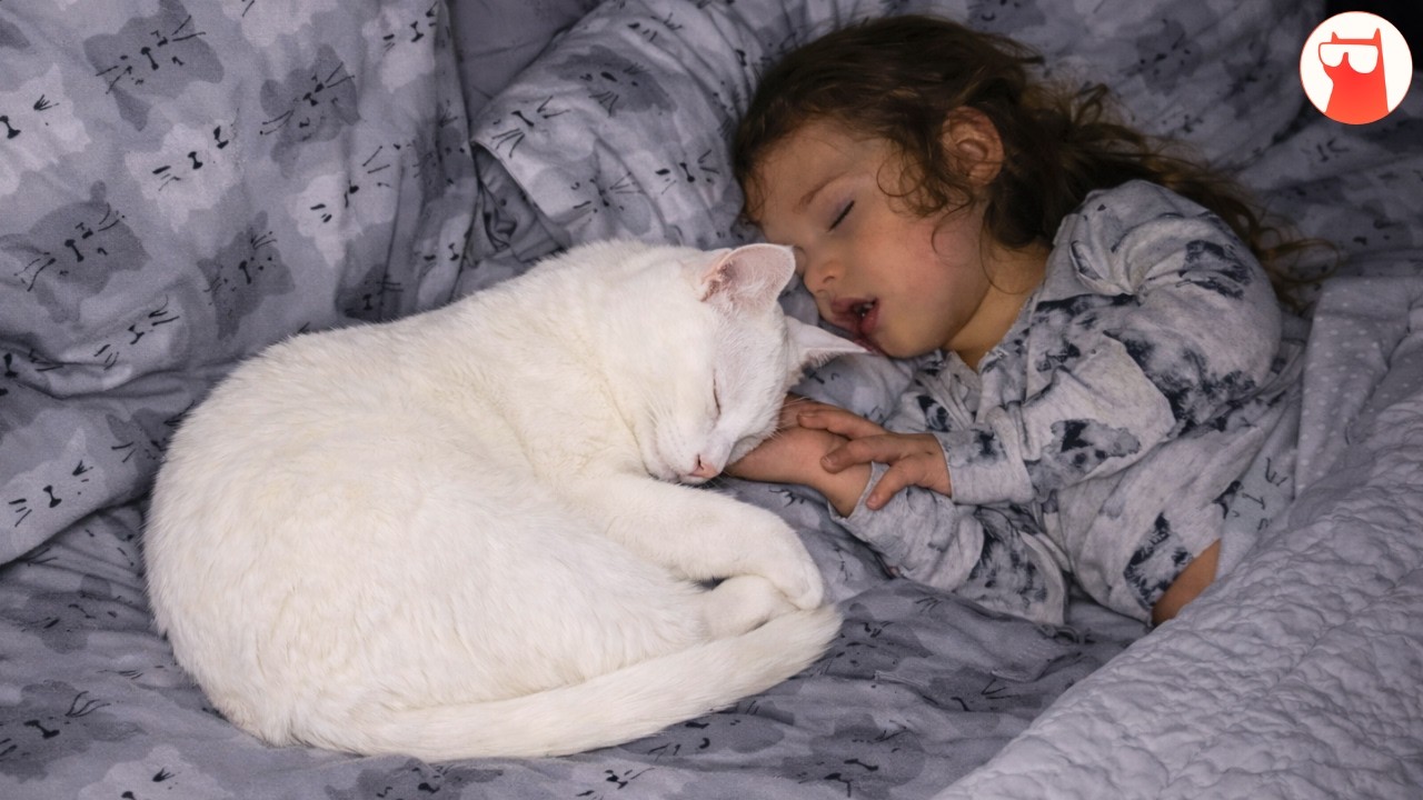 The Rescue Cat No One Could Get Close To Until A Little Girl Changed Everything