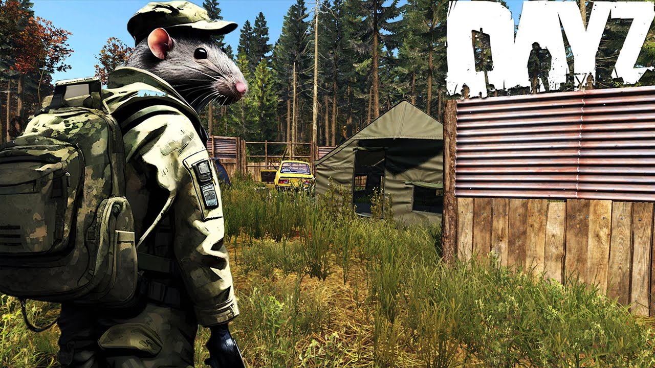 DayZ Solo Rat SNIFFS for LOOT on Official Server #dayz