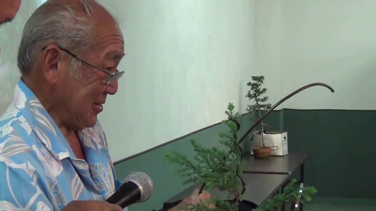 Mel Ikeda on Raft Style Bonsai