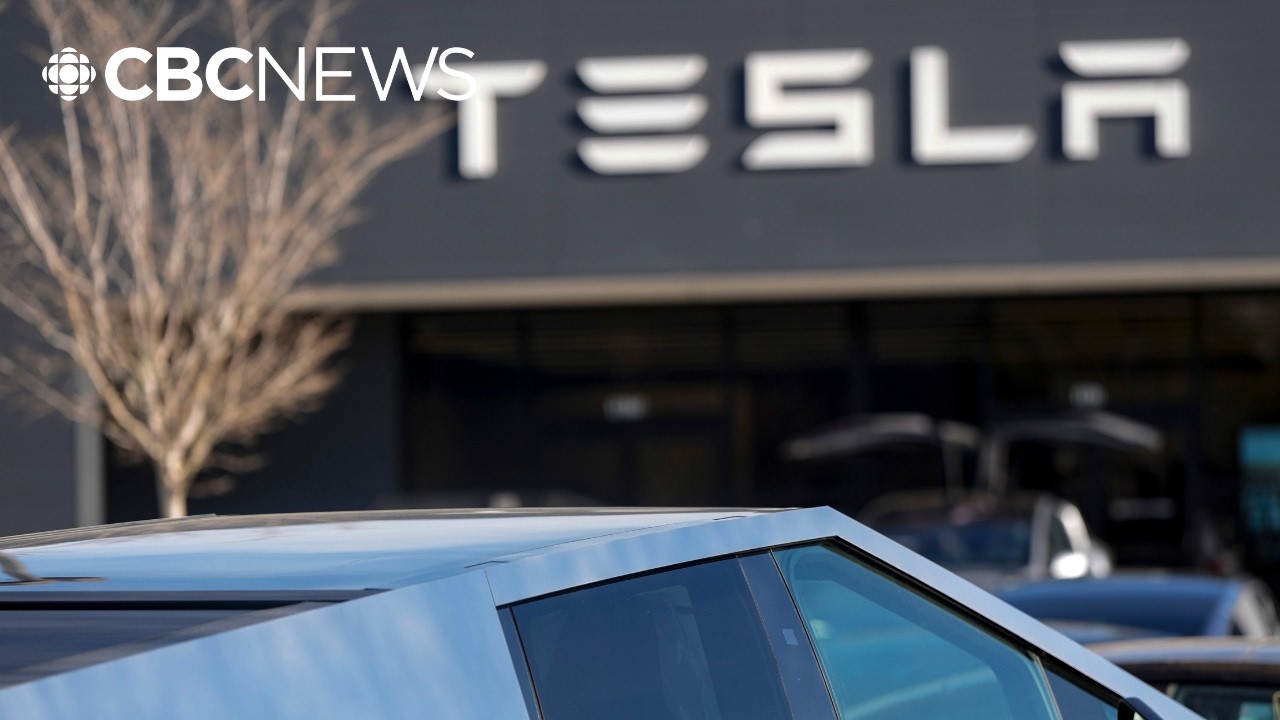 'I get a lot of middle fingers': Tesla owners say they're being targeted by other drivers