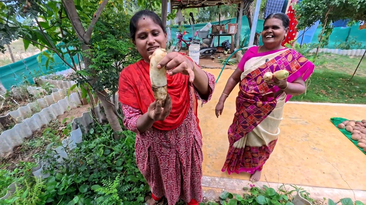 இதுதான் எங்கள் சொர்க்கம் ஆடம்பரம் இல்லை ஆனால் ஆரோக்கியம் நிரம்பியது😍 ||  INDIAKUTTY