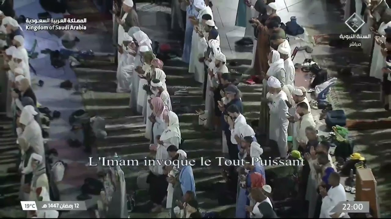 دعاء القنوت من المسجد النبوي بالمدينة المنورة | الشيخ محمد برهجي | ليلة ١٣ رمضان ١٤٤٧هـ
