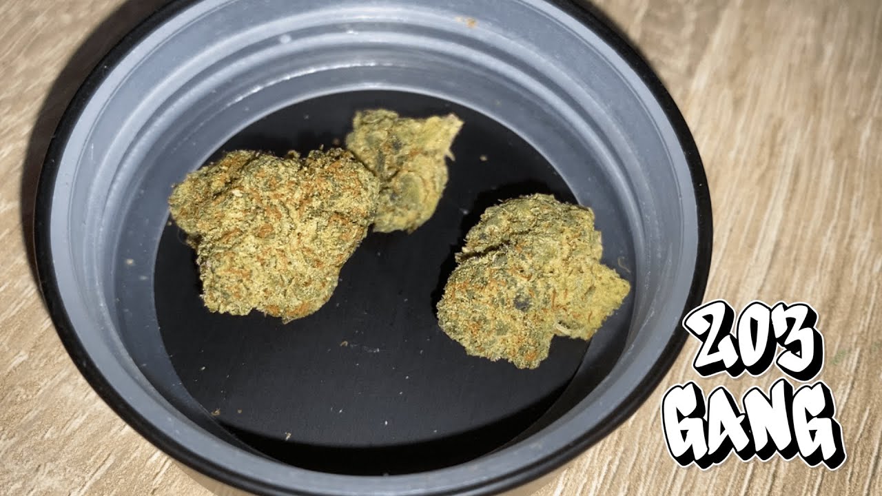 ZOIKS 22/1 SR Space Rider | 1J1Strain - Pole_203