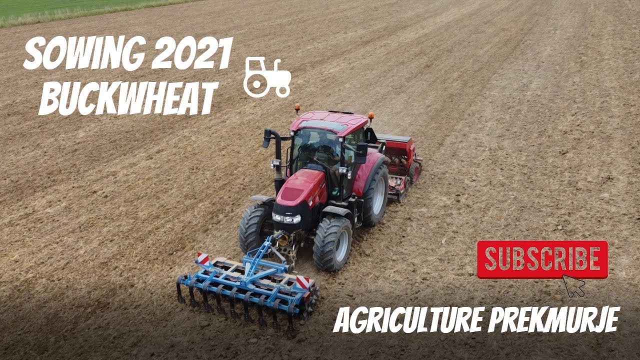 Case Luxxum 120 |  Sowing Buckwheat 2021 | Setev | Aussaat | Siew | Setí | Vetés