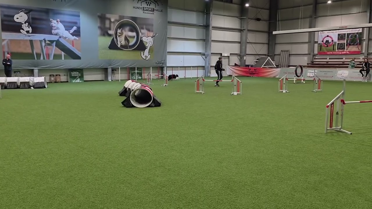 Turnier Riedstadt, 27 02 26, Beegy, J3, 1 Verweigerung, Platz 7