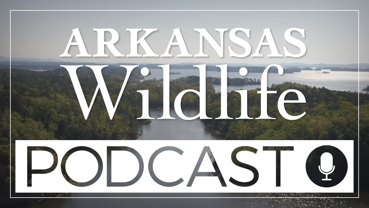 Arkansas Wildlife Podcast Ep.83:Lake Conway Renovation Mid Point Update: Achievements and Next Steps