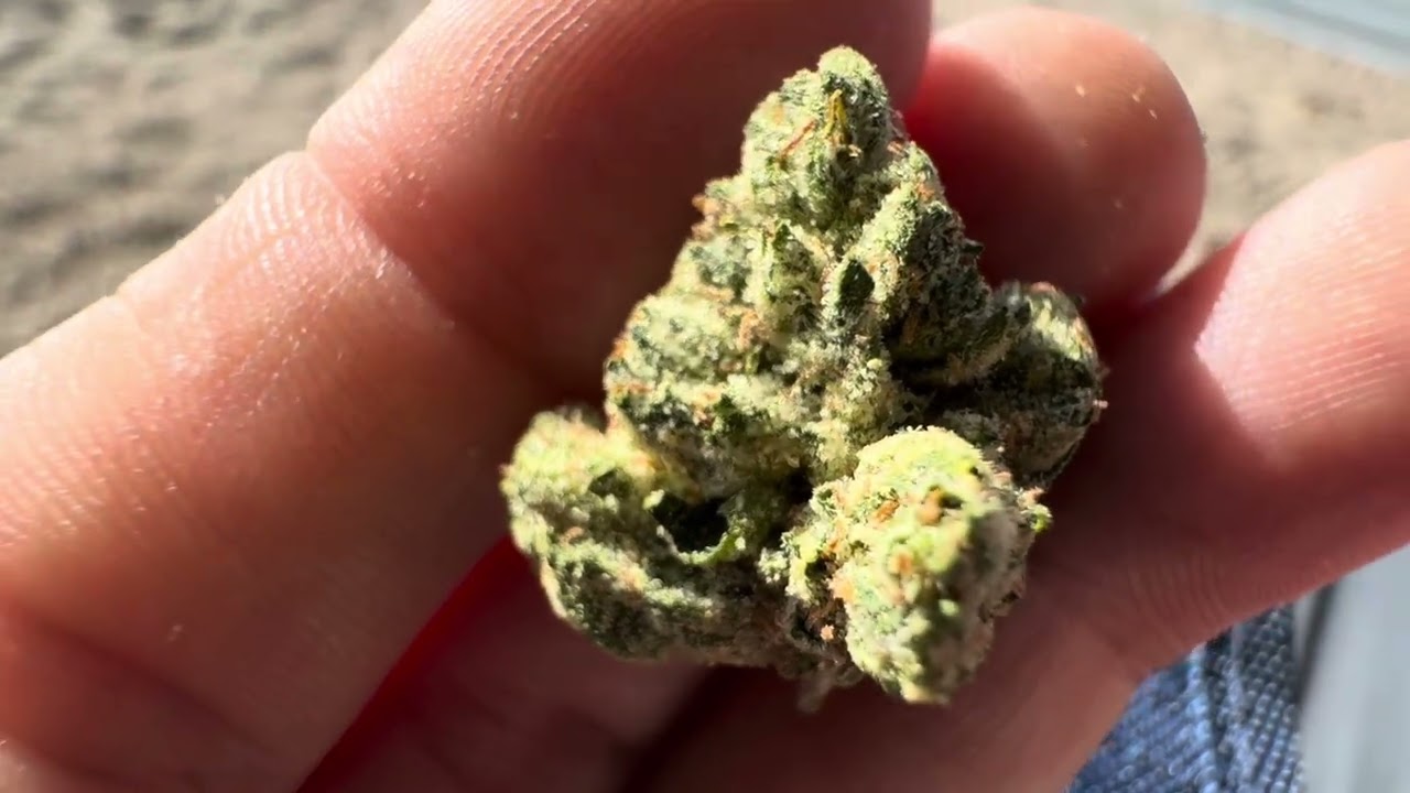 KALI SOUR KUSH By Josh D (SMALLS)
