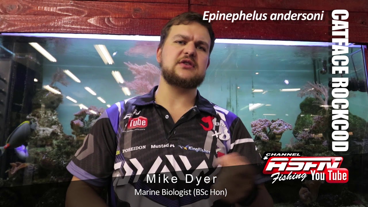 Species | Catface Rockcod