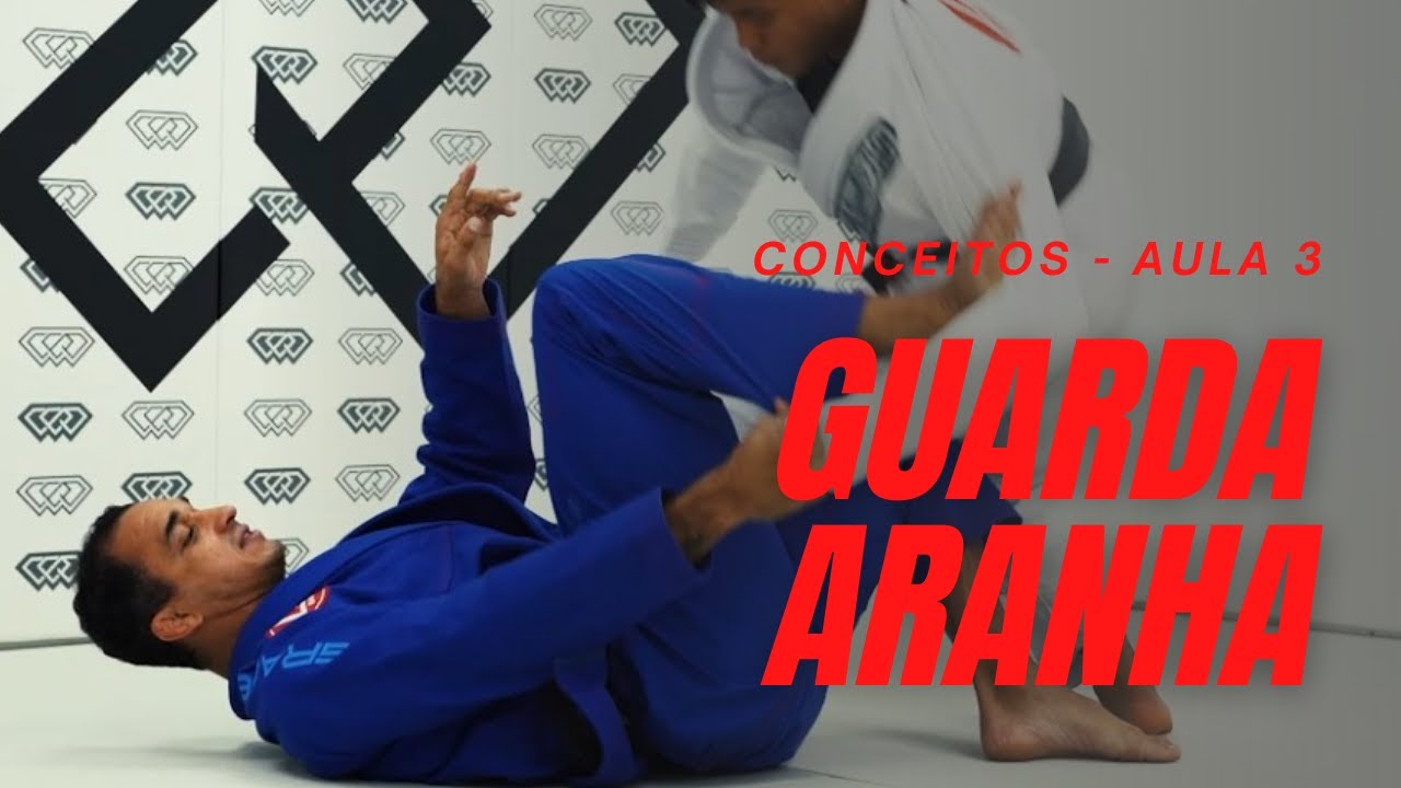 OS PRINCÍPIOS DA GUARDA ARANHA 3