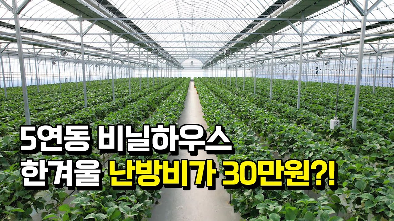 비닐하우스 겨울철 난방비 10분의 1로 줄이는 법