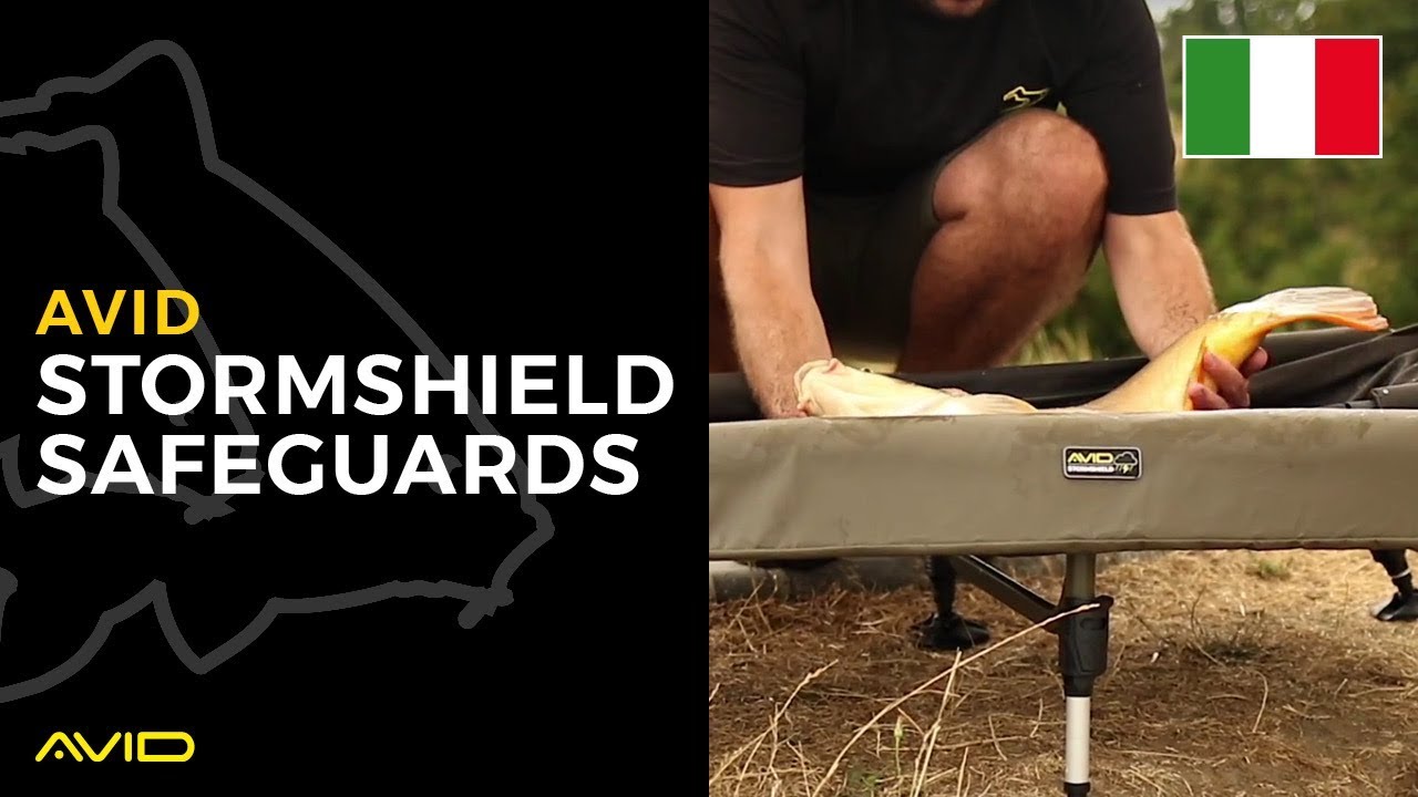 AVID CARP- Stormshield Safeguards- Italian